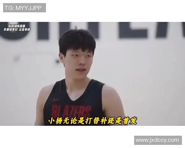 杨瀚森@楊瀚森-Hans 流量报告